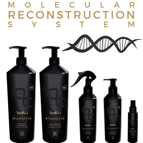 BAKU MOLECULAR RECONSTRUCTION SYSTEM - BAKU